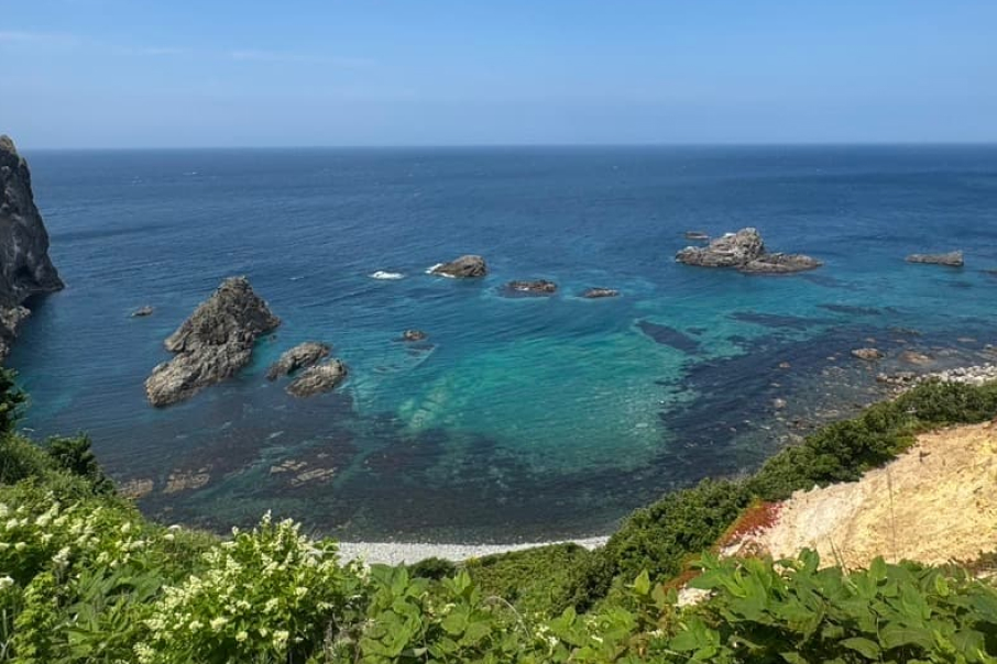 北海道に２泊３日で社員旅行へ行ってきました！